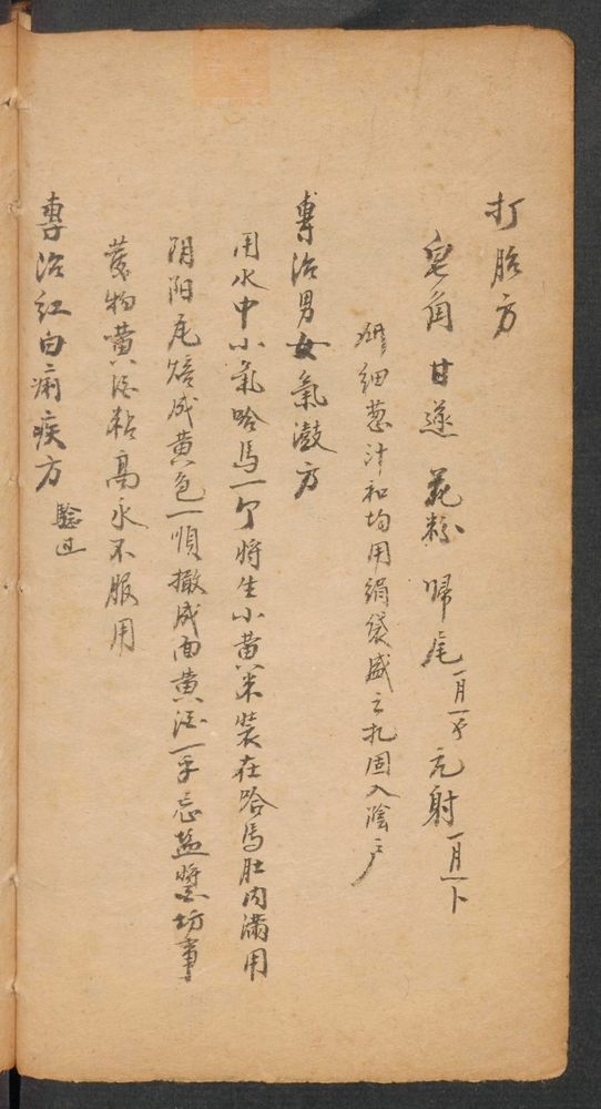 家抄药方(第124页)