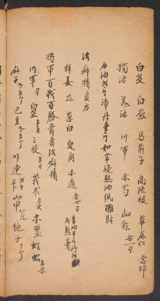 家抄药方(第160页)