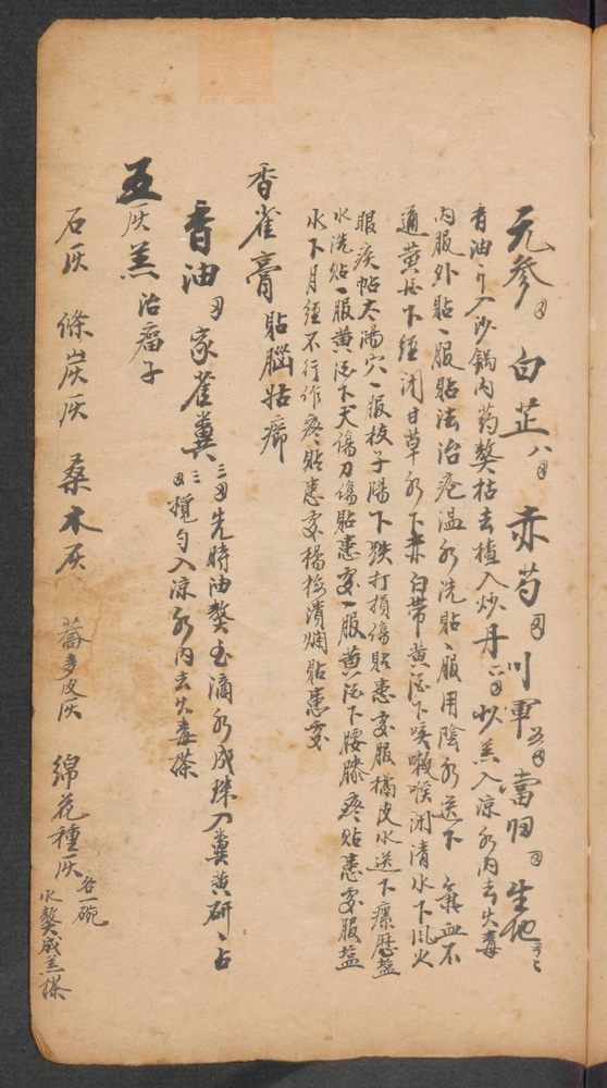 家抄药方(第227页)