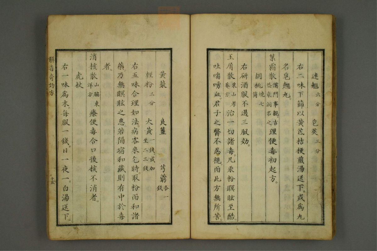 解毒奇效方(第21页)