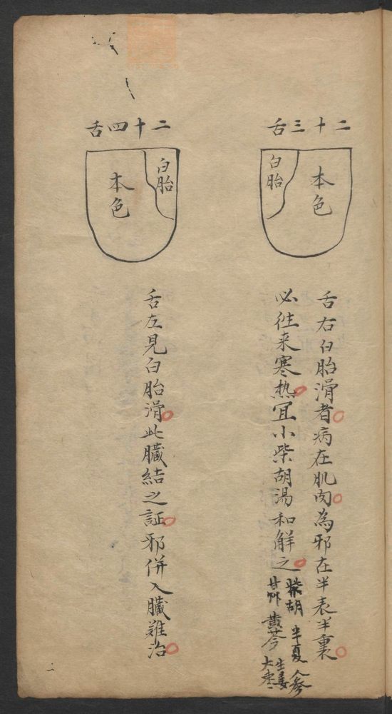 经穴指南(第79页)