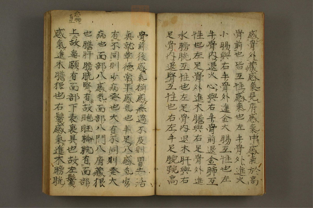 良中子神医天真(第4页)