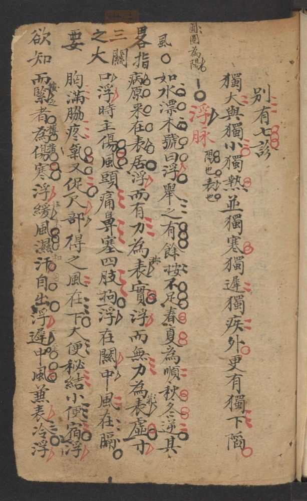 脉药手抄本(第5页)