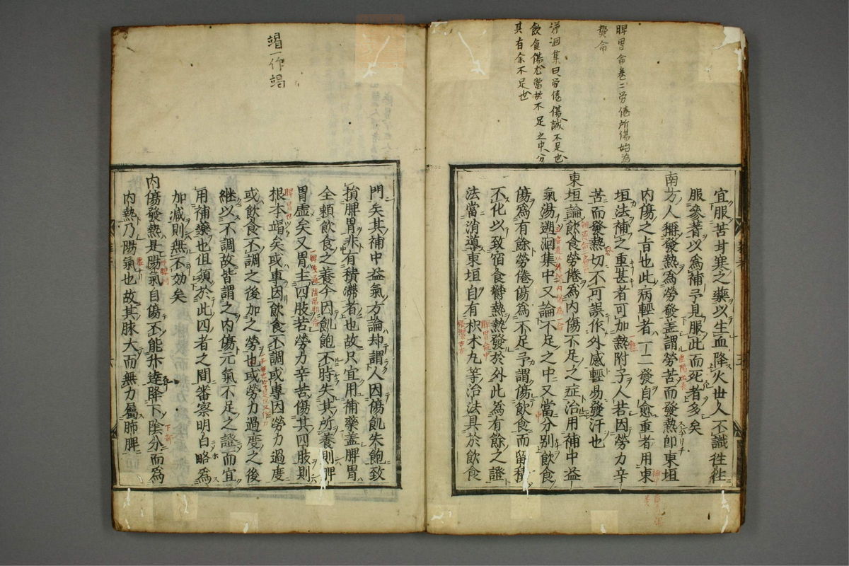 明医杂著(第10页)