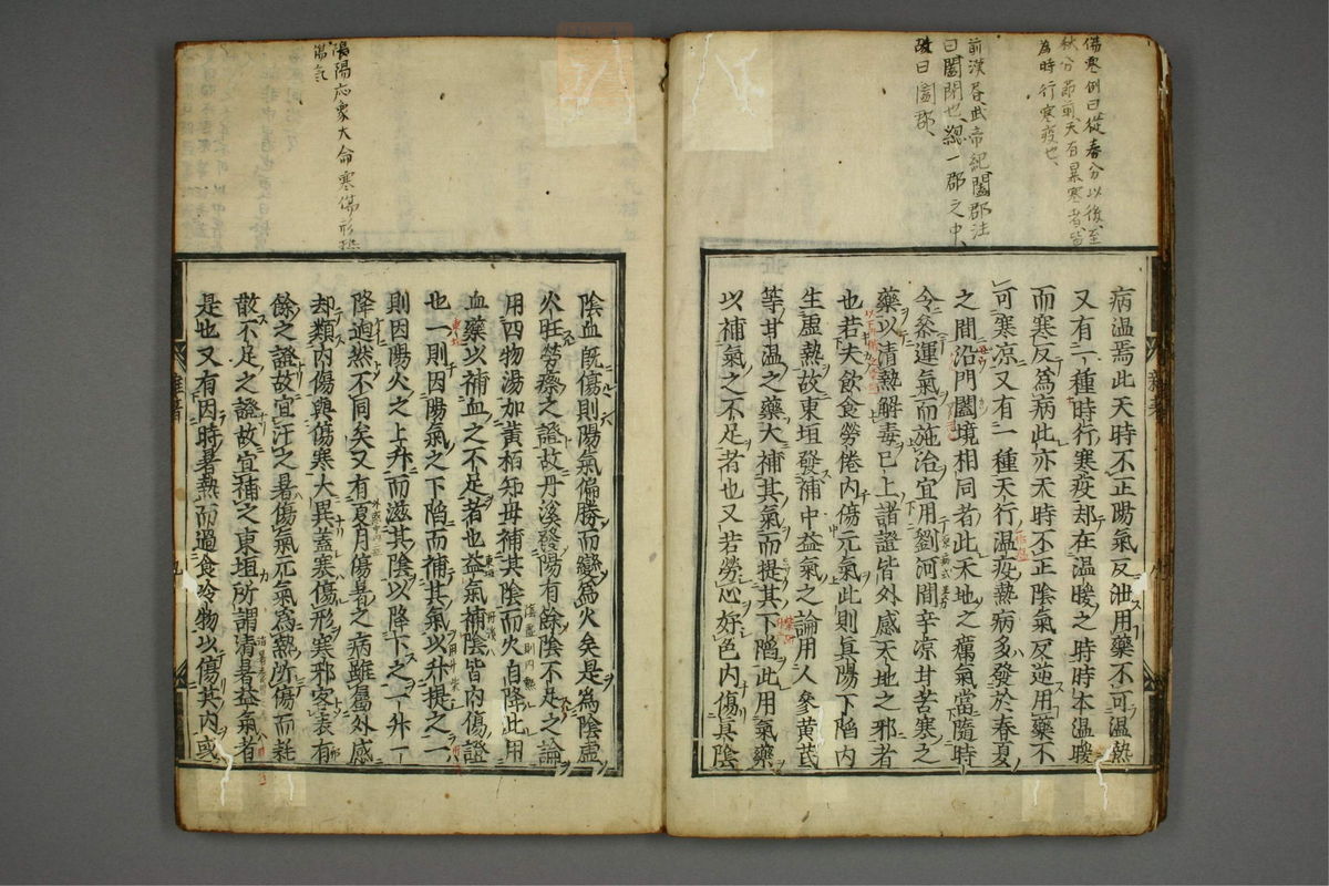 明医杂著(第13页)