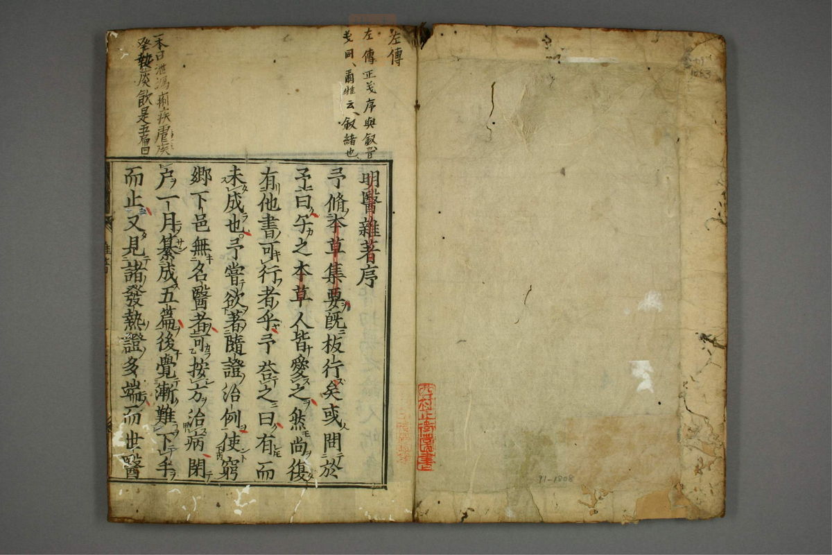 明医杂著(第2页)