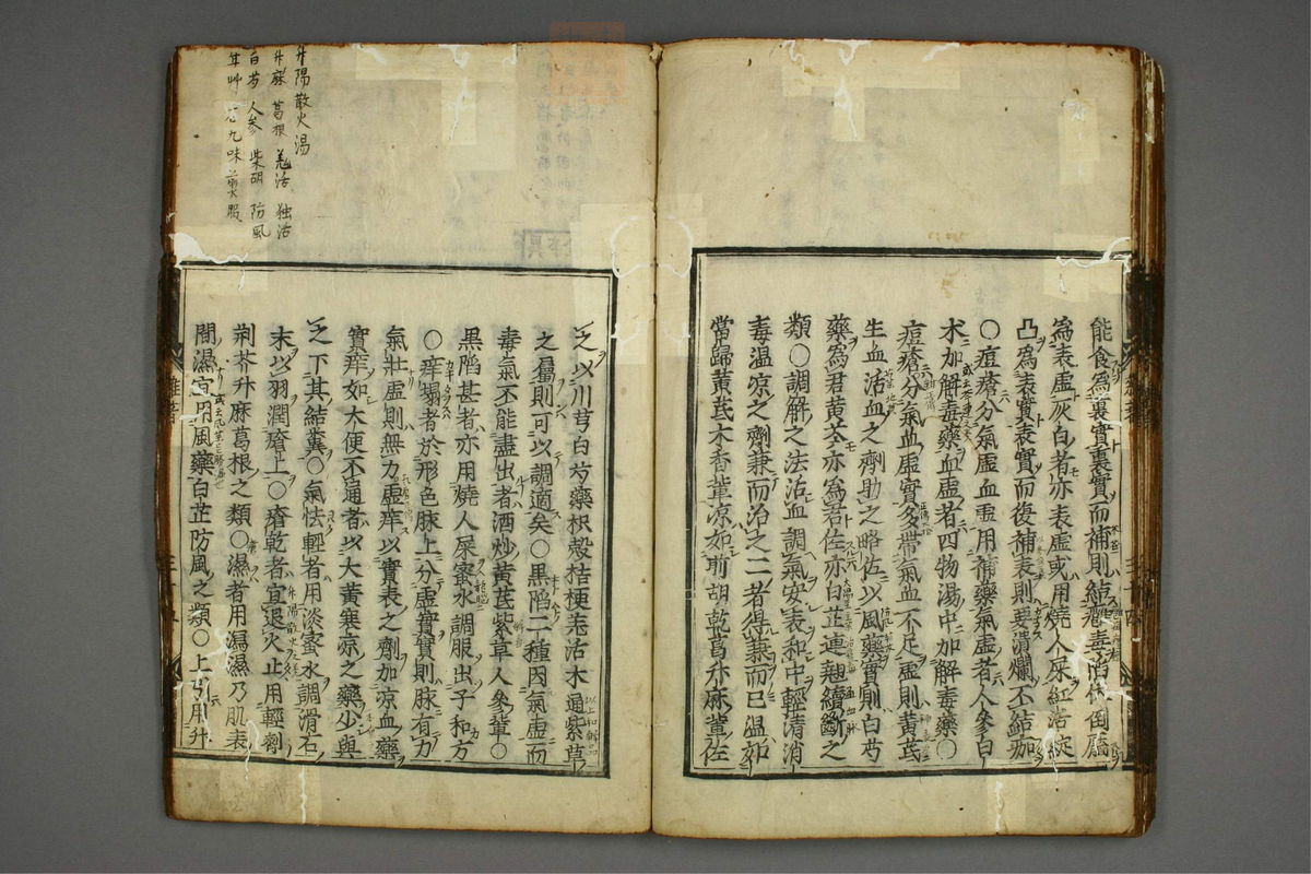 明医杂著(第39页)