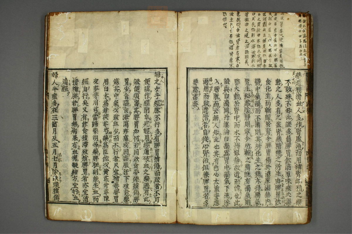 明医杂著(第48页)