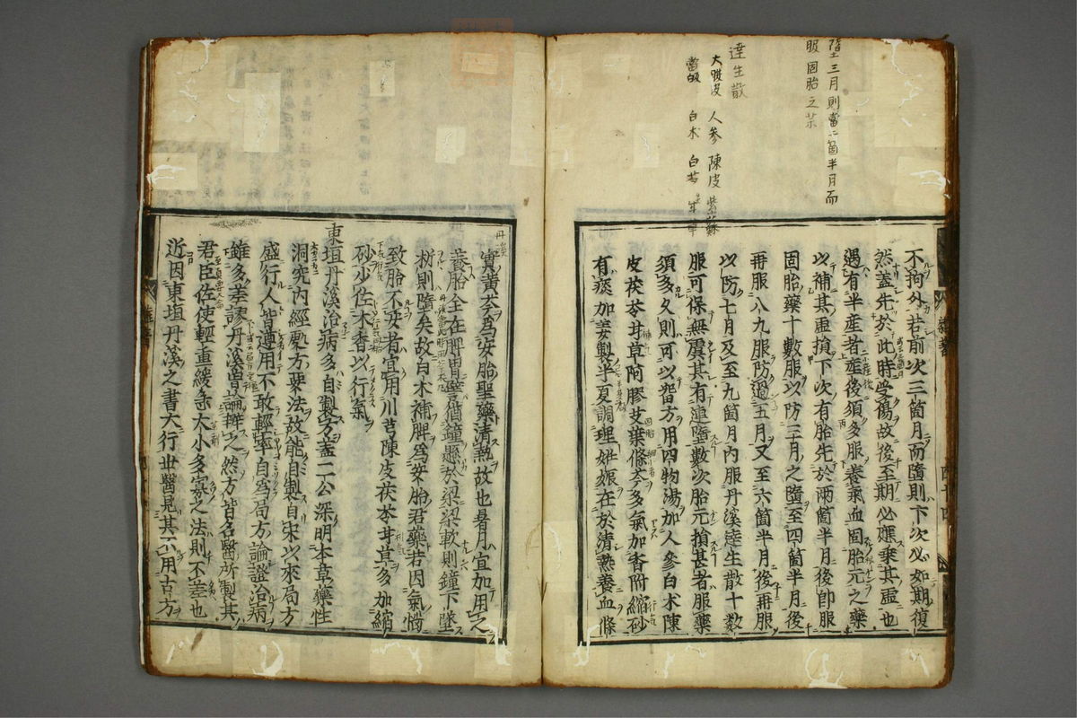 明医杂著(第49页)