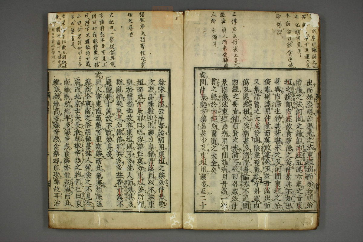 明医杂著(第6页)