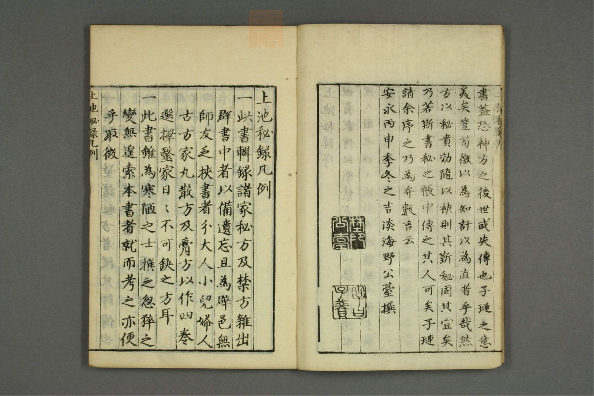 上池秘录(第5页)