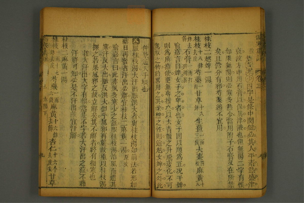 伤寒集注(第85页)