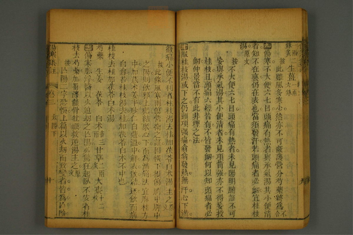 伤寒集注(第86页)