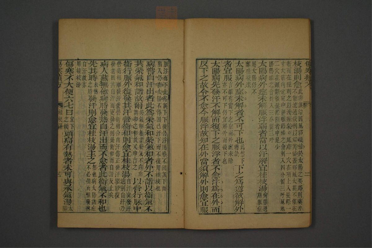 伤寒论类方(第11页)