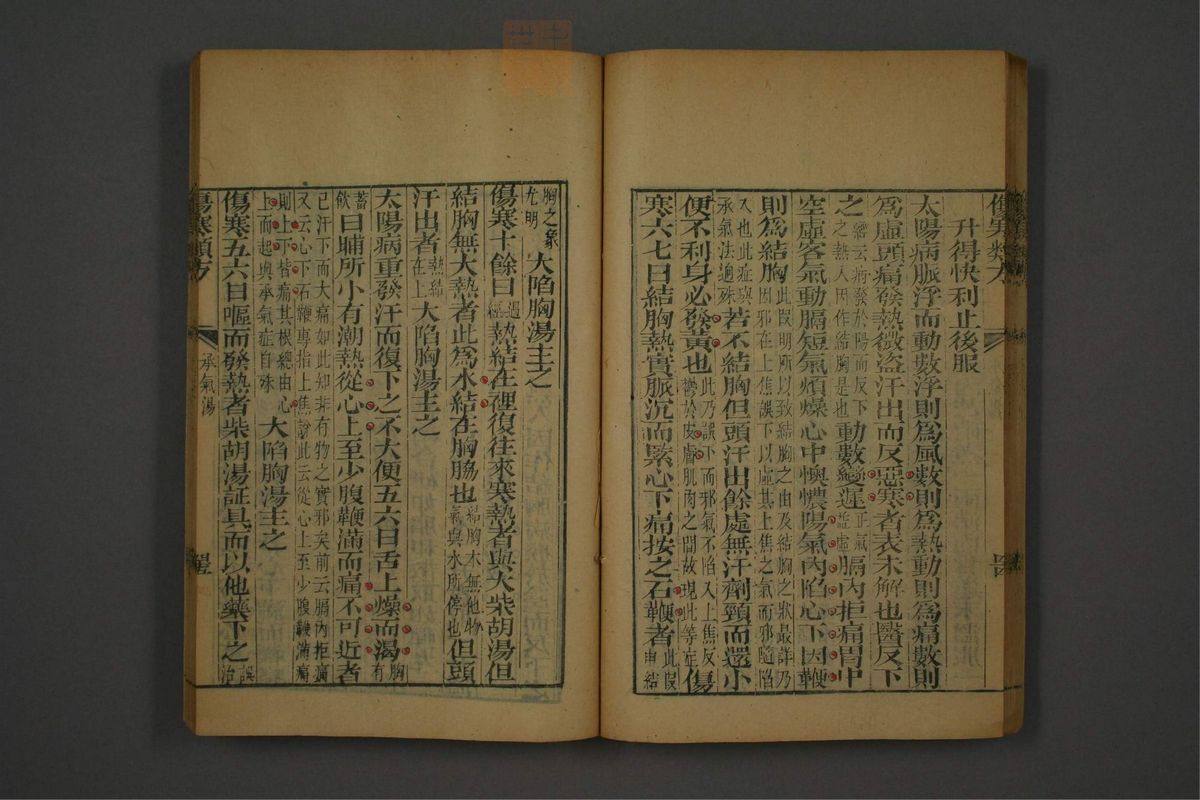 伤寒论类方(第53页)