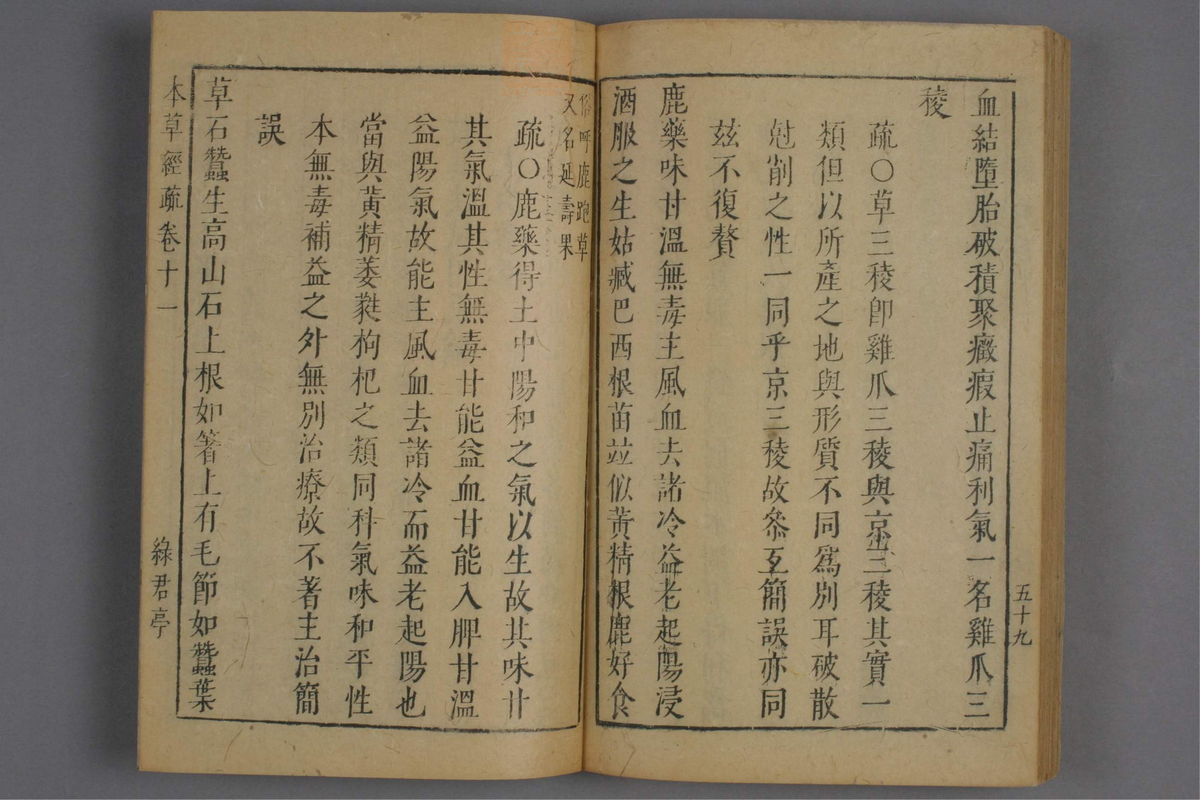 神农本草经疏(第810页)