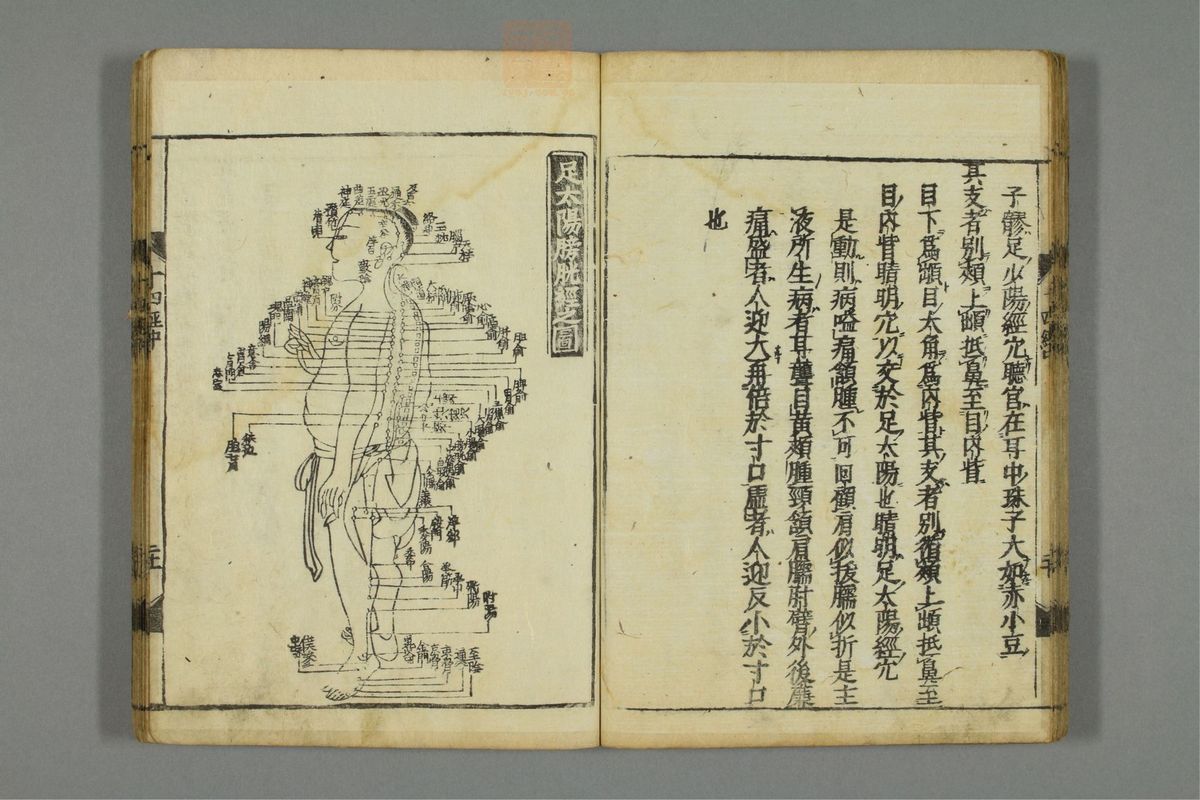 十四经发挥(第37页)