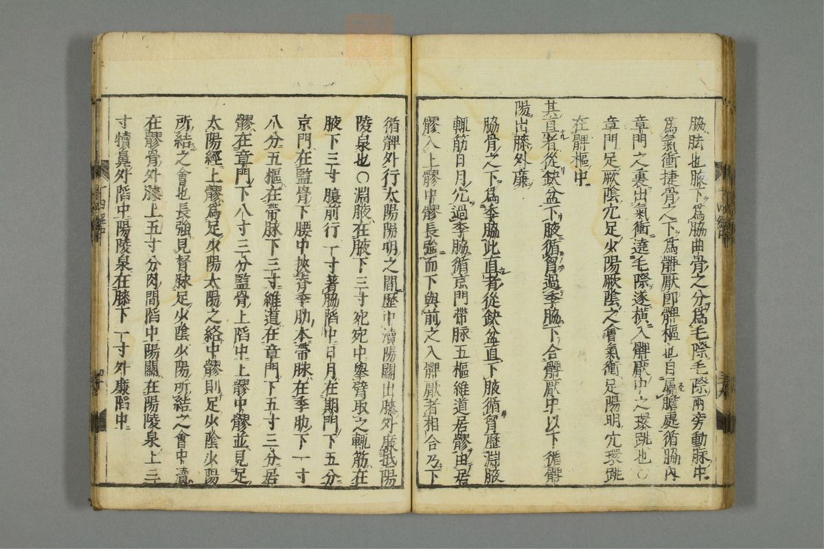 十四经发挥(第56页)