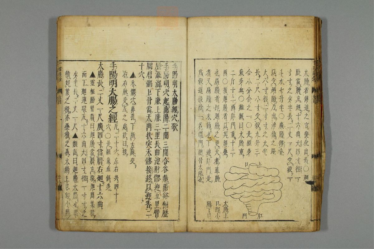 十四经发挥钞(第85页)