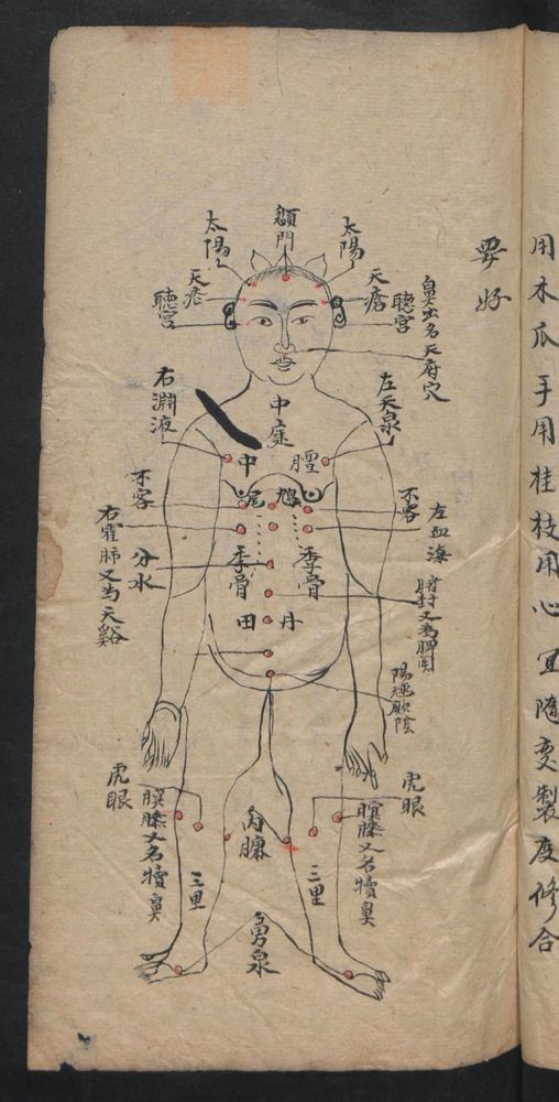 授归真方(第47页)