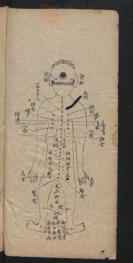 授归真方(第48页)