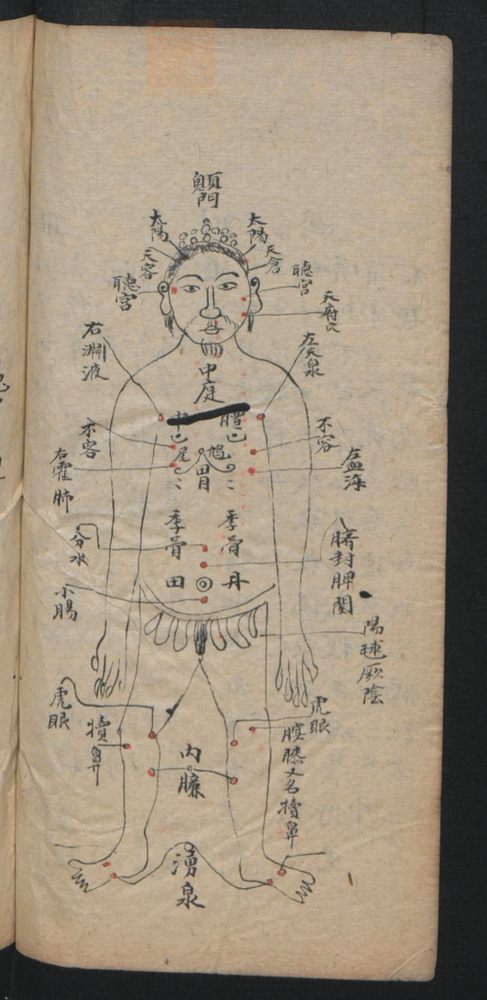 授归真方(第90页)