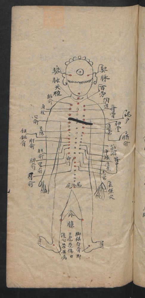 授归真方(第91页)