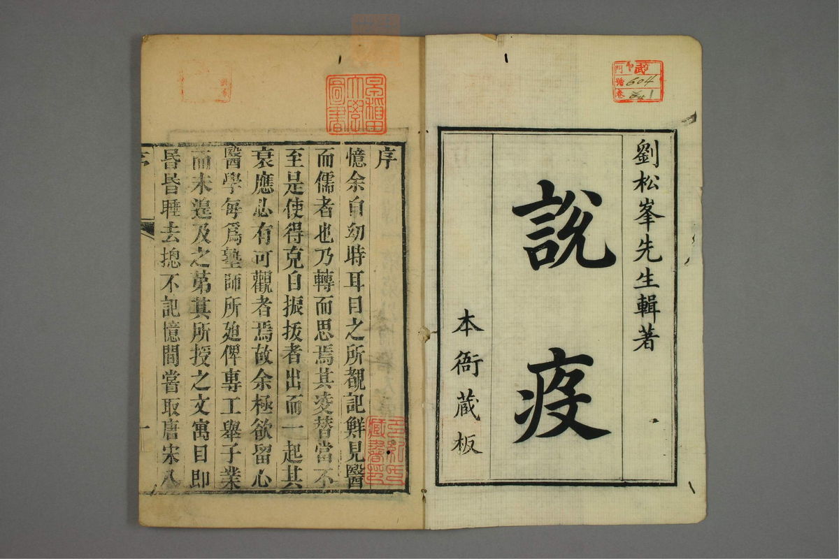 松峰说疫(第2页)