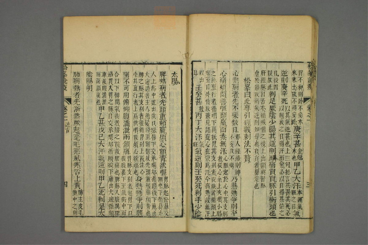 松峰说疫(第20页)