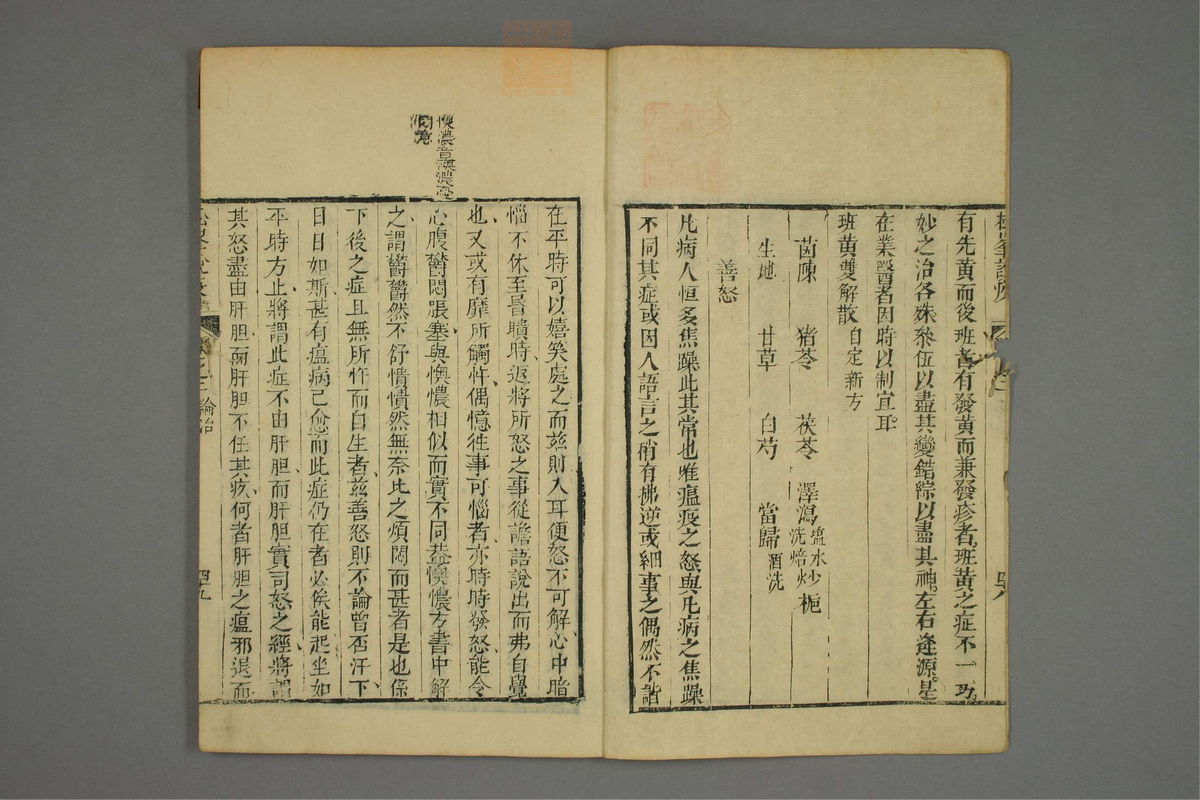 松峰说疫(第103页)