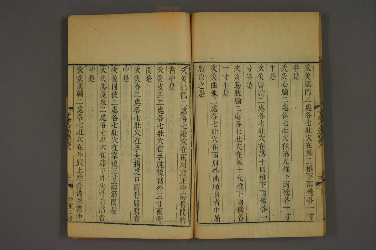 孙眞人千金方衍义(第750页)