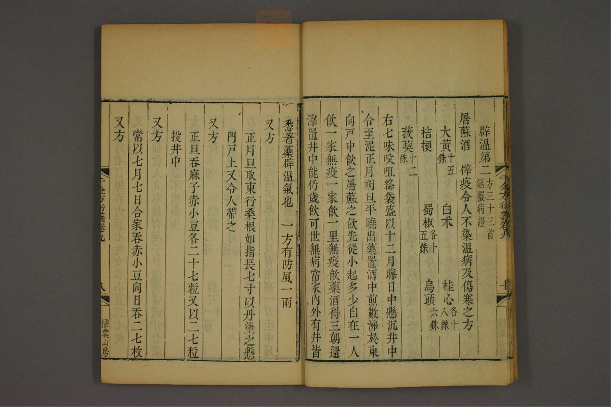 孙眞人千金方衍义(第818页)