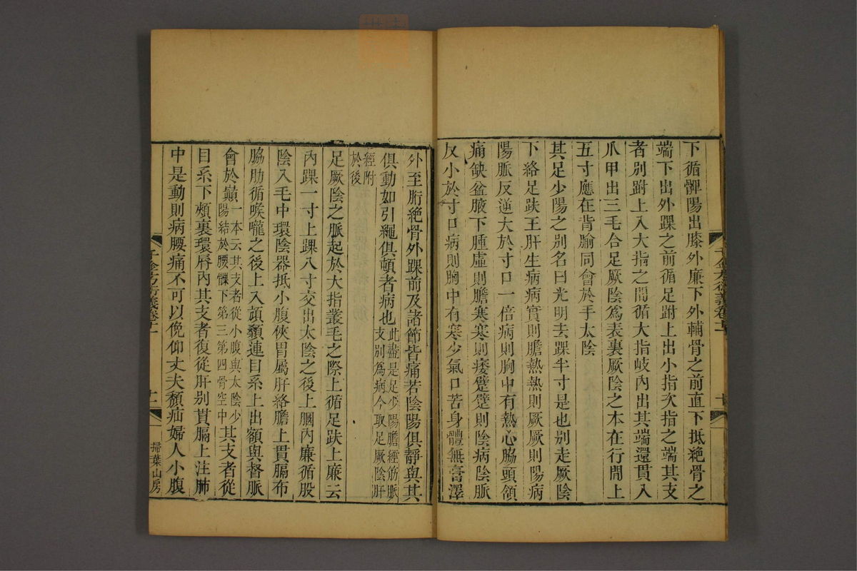 孙眞人千金方衍义(第967页)