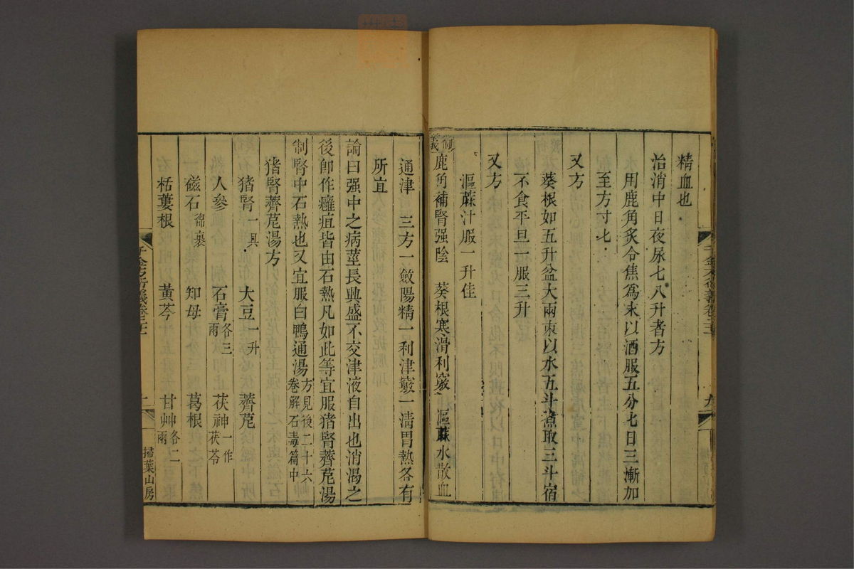 孙眞人千金方衍义(第1681页)