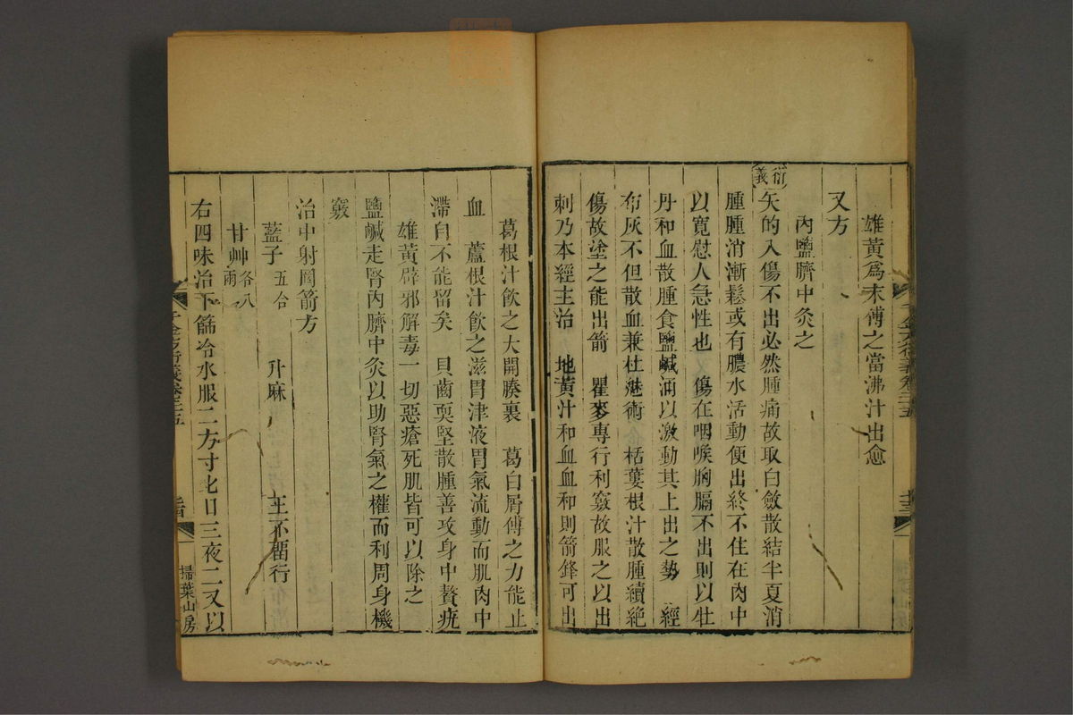 孙眞人千金方衍义(第2031页)