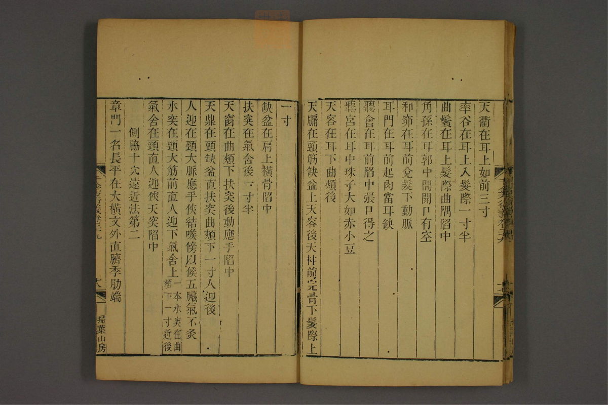 孙眞人千金方衍义(第2172页)