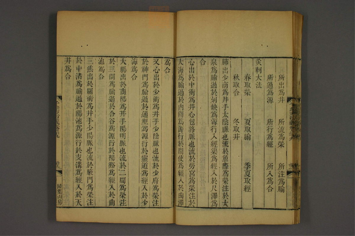 孙眞人千金方衍义(第2177页)