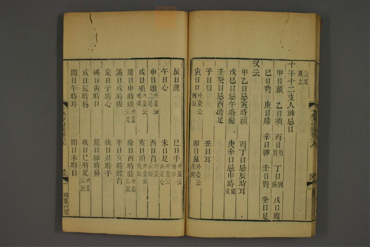 孙眞人千金方衍义(第2199页)