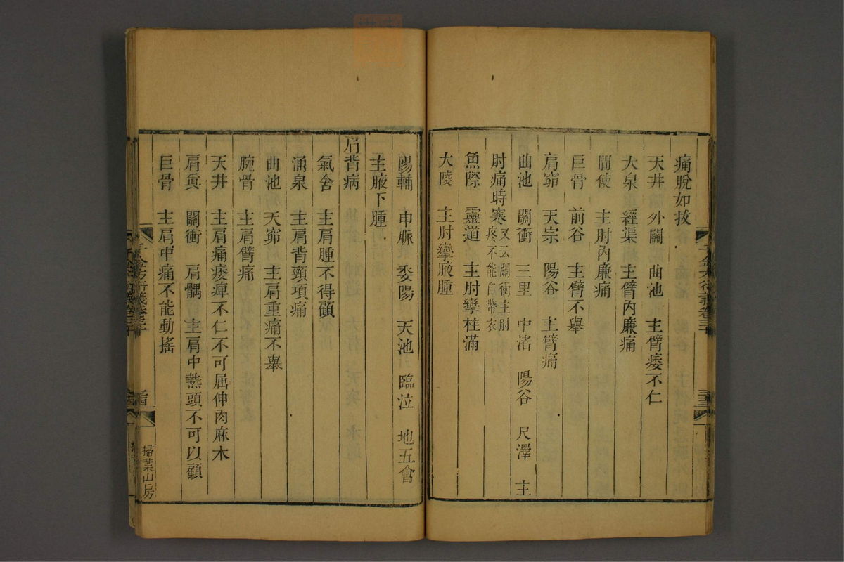 孙眞人千金方衍义(第2237页)