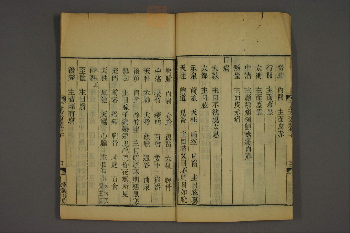 孙眞人千金方衍义(第2207页)