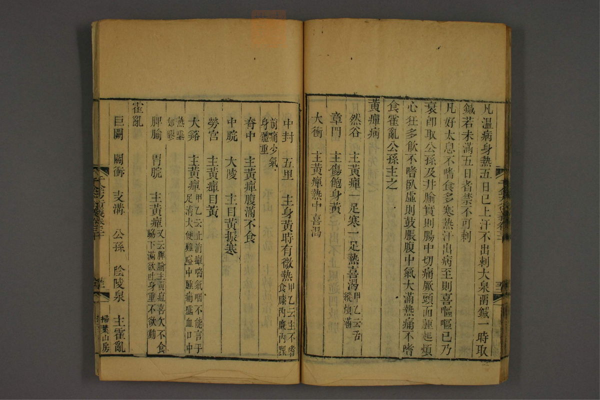 孙眞人千金方衍义(第2254页)