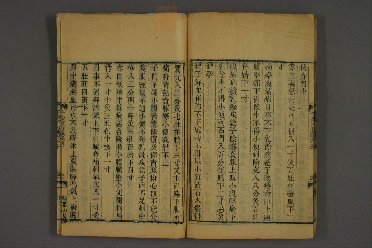 孙眞人千金方衍义(第2264页)