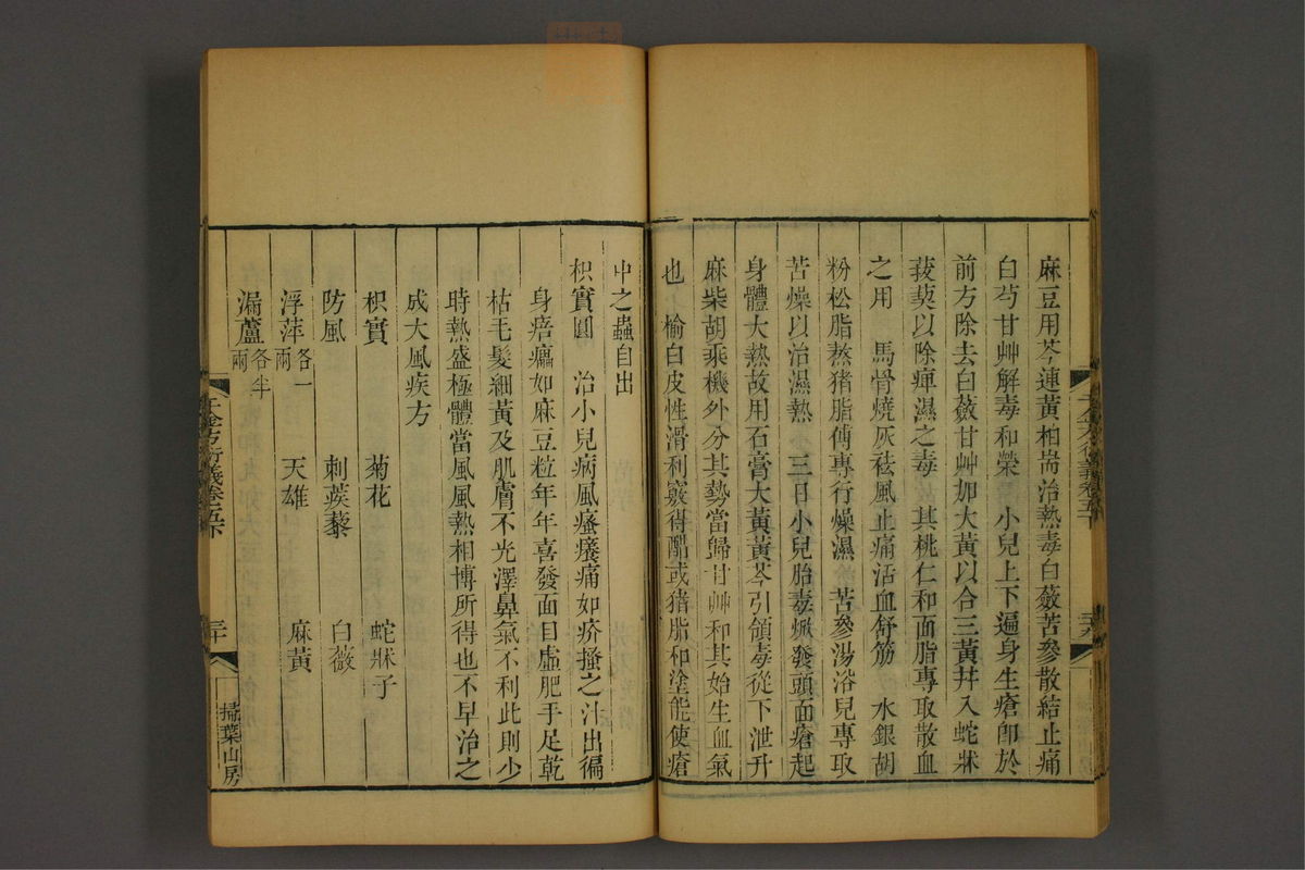 孙眞人千金方衍义(第480页)