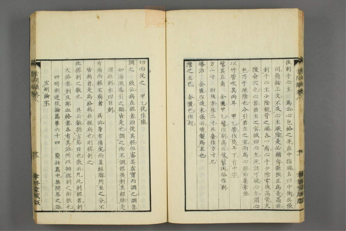 素问识(第498页)