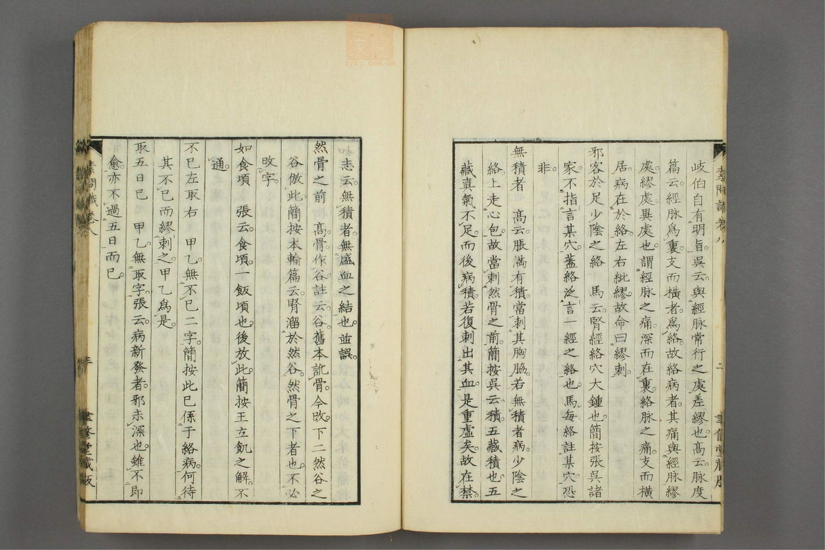 素问识(第489页)