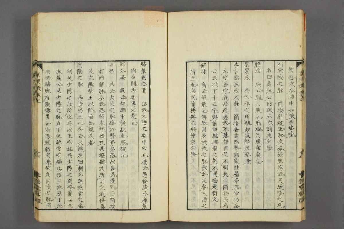 素问识(第328页)