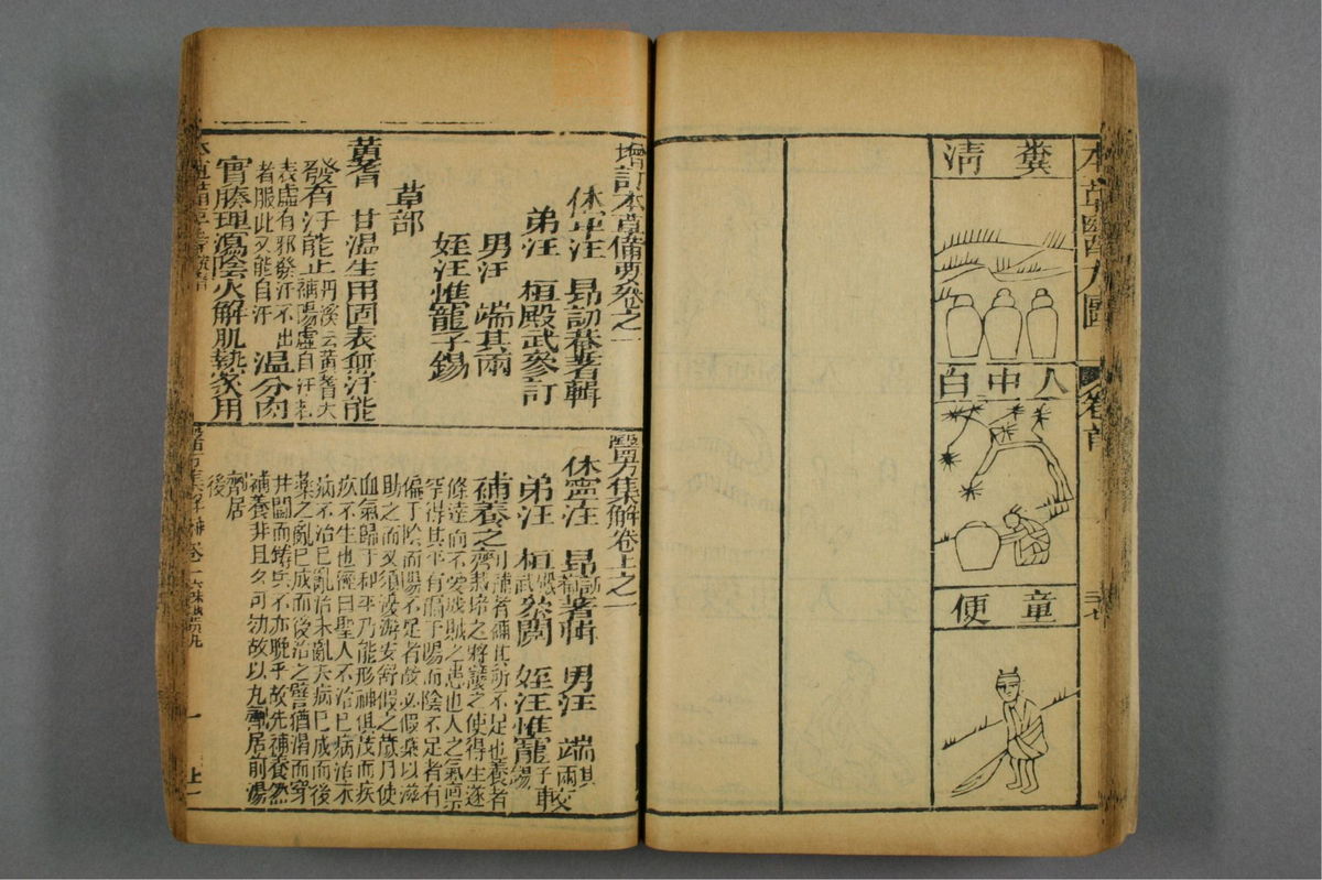 图注本草医方合编(第60页)