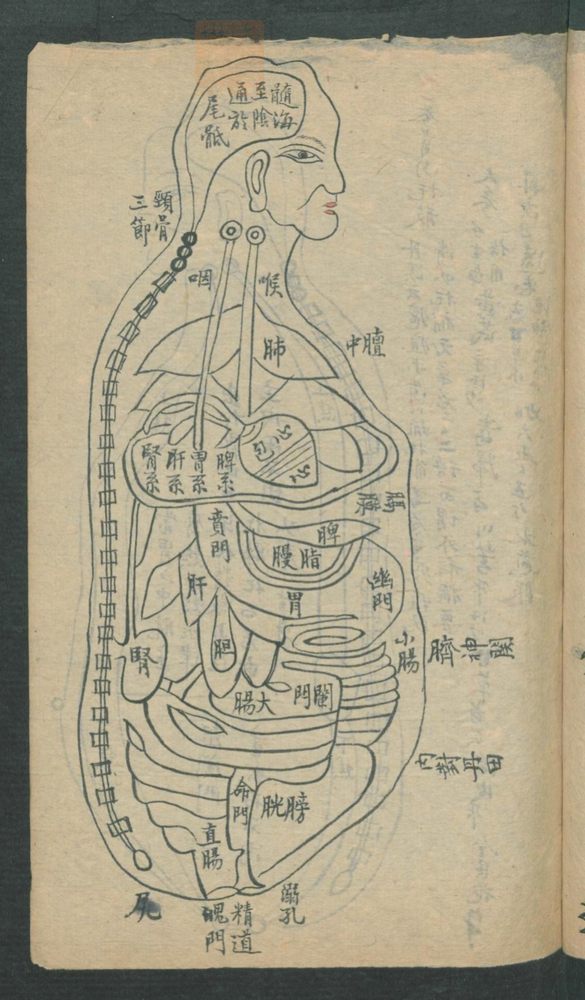 外科图形法治(第11页)