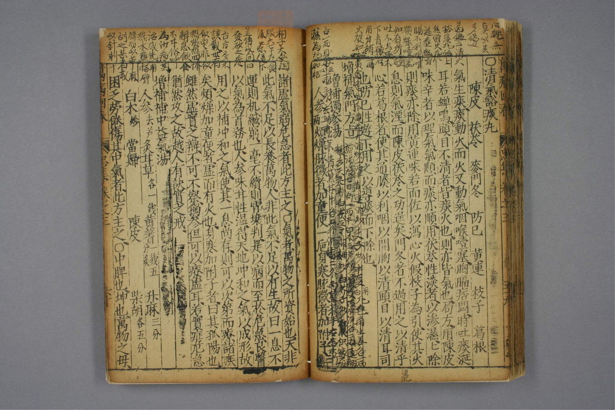 万病回春(第254页)