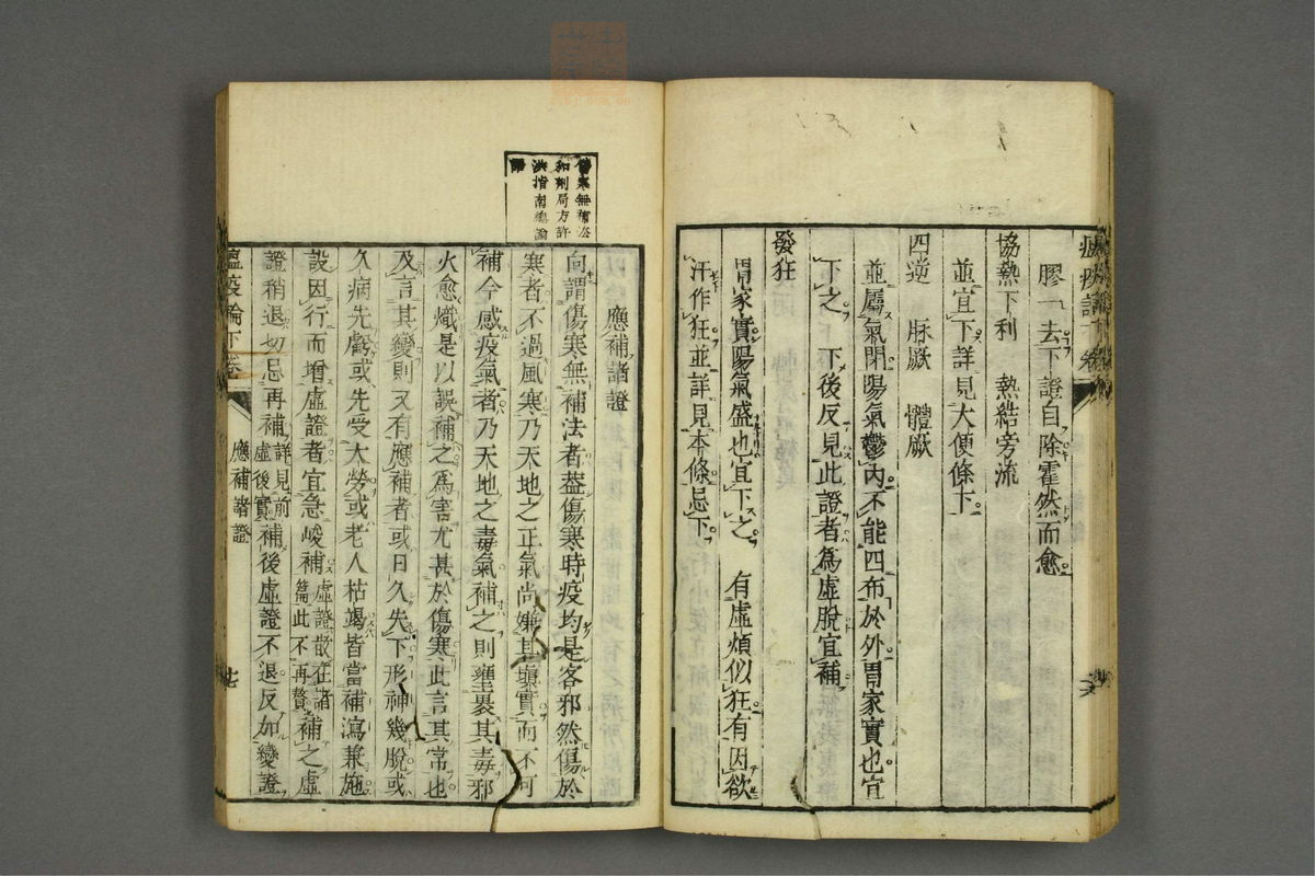 瘟疫论标注(第80页)